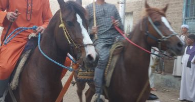 بالمزمار والربابة.. احتفالات أهالى الأقصر بمولد الشيخ العشى.. لايف وصور