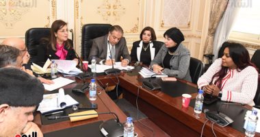 اليوم.. وزيرة التخطيط تشارك فى اجتماع لجنة الشئون الأفريقية بمجلس النواب.. صور