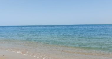 هلت نسايم الربيع.. طقس دافئ وشمس ساطعة بالإسكندرية.. لايف وصور