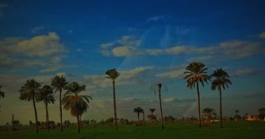 لكل موهبة دلالات.. "على" يشارك "صحافة المواطن" موهبته فى التصوير من أسيوط