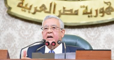 نواب يشيدون بالمبادرة الرئاسية حياة كريمة: تتوافق مع الجمهورية الجديدة..صور