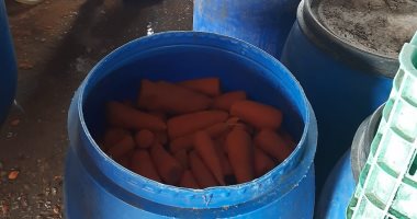 ضبط وإعدام 20 طنا و 1370 لتر خل و أغذية غير صالحة للاستهلاك الآدمى ببسيون