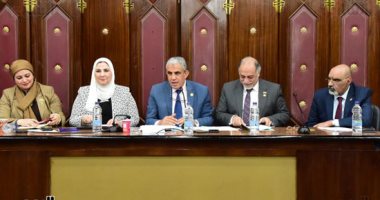 وزيرة التضامن لـ"قوى النواب": لن يكون هناك مواطن ليس له تأمين صحى