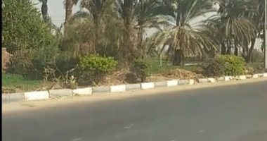 السبب صادم.. أب يلقى بزوجته وأبنائه الـ5 من الطابق الأول بقنا.. لايف