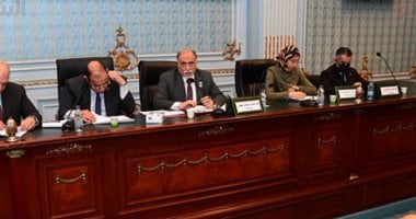 "تضامن النواب" تناقش تنفيذ مكتسبات قانون ذوى الإعاقة وأوضاع المؤسسات الأهلية