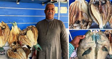 أكلة عجيبة.. "صنايعى تجفيف السمك فى الغردقة".. يعشقها أهالى البحر الأحمر وتطلبها دول خليجية.. اختيار  أنواع معينة لتجفيفها وصلاحيتها تمتد سنوات.. وتطلب فى نهاية شهر رمضان وعيد الفطر.. فيديو وصور