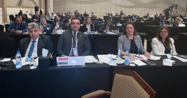 نائب بـ"التنسيقية" يشارك فى فعاليات الجمعية العامة لبرلمان البحر المتوسط