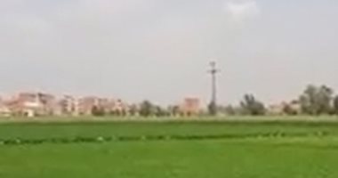 حالة الطقس الآن.. شمس ساطعة وسماء صافية فى الشرقية.. لايف