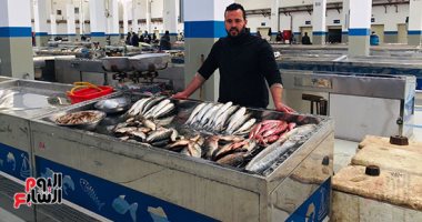 انخفاض أسعار أسماك القنال البلدى فى السوق النموذجى المتطور الجديد بالإسماعيلية.. لايف