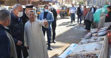 محافظ القليوبية: ضبط 75 طن سلع وأغذية فاسدة وتحرير 1829 محضرا