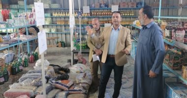 صحة الإسماعيلية تشن حملات على الأسواق والمحال التجارية وتحرر 70 محضرا.. صور