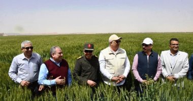 ثروات مصر بخير.. وزير الزراعة ومحافظ أسوان يتفقدان المفرخات السمكية ومزارع القمح بجنوب مصر.. ويكشفان عن الوصول لـ70 مليون زريعة.. الوزير: تحسين مستوى معيشة الصيادين في إطار مبادرة حياة كريمة.... صور