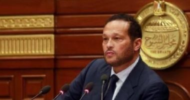 "صناعة الشيوخ" تستكمل بحث تعميق التصنيع المحلي والصادرات الأسبوع المقبل..محمد حلاوة:توجيهات الرئيس السيسي بتعميق الصناعة وزيادة الصادرات تحقق التنمية المستدامة وعلى الحكومة التوعية بمقاطعة الواردات العشوائية