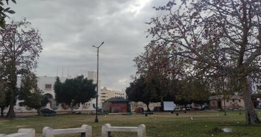 طقس الإسماعيلية الآن.. غيوم فى السماء وانخفاض درجة الحرارة "لايف وصور"
