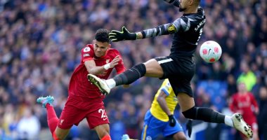 ليفربول ينهي الشوط الأول متقدمًا على برايتون بهدف لـ دياز.. فيديو