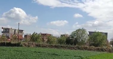 رياح مخيفة وصقيع وغيوم فى السماء.. تفاصيل الطقس فى المنوفية الآن.. لايف