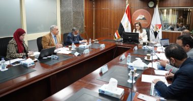 التخطيط: الاستثمارات الكلية لقطاع النقل بخطة عام 22/21 بلغت 244,7 مليار جنيه