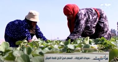 "مانشيت" يسلط الضوء على "سيدات الفراولة" والسعي فجرا لأجل لقمة العيش