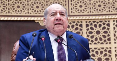 مجلس الشيوخ يقف دقيقة حدادا على وفاة الدكتور عبد الحى عبيد