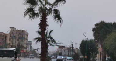 طقس الوادى الجديد.. انكسار حدة العواصف الترابية على المدن والقرى (فيديو)