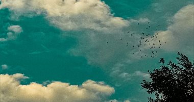 مصر جميلة.. "سارة" تبدع فى تصوير جمال سماء القليوبية  