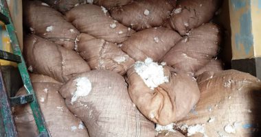 تعرف على أسعار بيع قطن الصعيد جيزة 95 فى أخر مزاد بالفيوم