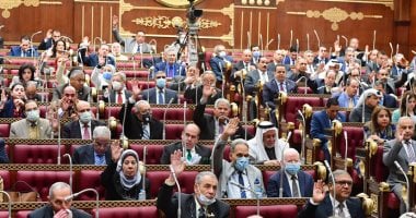 مقترح لتنسيقية شباب الأحزاب أمام مجلس الشيوخ.. الهدف ربط الطلاب المصريين في الخارج بوطنهم وتعزيز روح الانتماء.. وتمكينهم من دراسة المناهج المصرية خاصة التاريخ.. وإنشاء منصة إليكترونية تفاعلية.. والحكومة ترحب