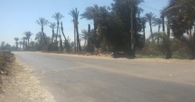 الشتاء رجع تانى.. أجواء بادرة ورياح بقنا.. لايف
