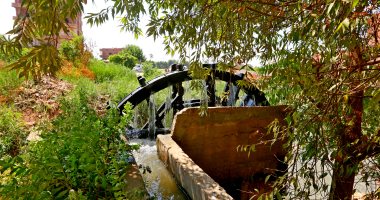 سحر الطبيعة فى بلاد السواقى.. جمال الفيوم فى عيدها القومى