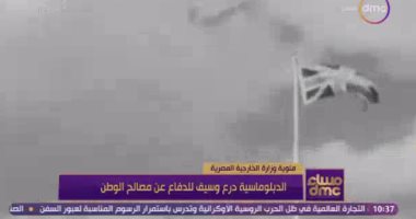 "الدبلوماسية درع وسيف الدفاع عن مصالح الوطن".. رامي رضوان يعرض تقريرا عن مئوية الخارجية