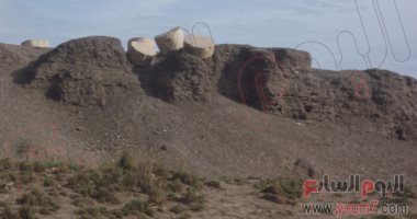 هل تم العثور على قمح فرعونى بالفيوم يرتبط بـ صوامع يوسف؟..معهد المحاصيل يرد