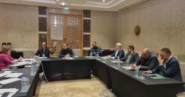 وليامز تطالب "النواب الليبى" برد إيجابى على مقترح تشكيل لجنة إعداد قاعدة دستورية