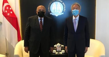 وزير الخارجية يبحث مع كبير الوزراء السنغافورى تنسيق السياسات الأمنية