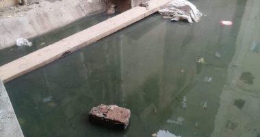 مياة المنوفية: إرسال فريق من فرع شبين لحل مشكلة طفح الصرف بأحد الشوارع
