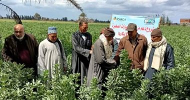 مشروع دعم مزارعى الحيازات الصغيرة بالتعاون مع الإيكاردا لزراعة كفر الشيخ.. صور