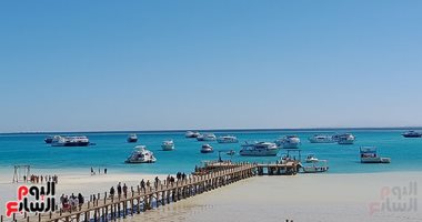 نشاط كبير للرحلات البحرية فى البحر الأحمر.. فيديو وصور