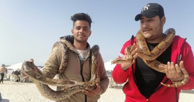 "أحمد" يبهر الأهالى على شواطئ بورسعيد بالثعابين والتماسيح.. لايف وصور