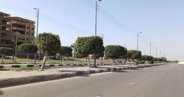 طقس الإسماعيلية الآن.. استقرار حالة الطقس وغياب الشبورة.. لايف وصور
