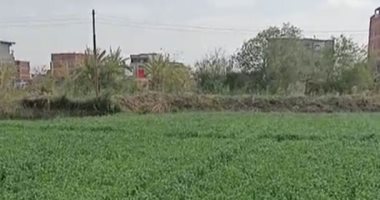 طقس المنوفية الآن.. برودة فى الجو وغيوم فى السماء.. لايف