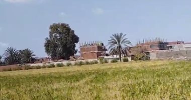 طقس الشرقية الآن.. شمس ساطعة ونشاط معتدل للرياح.. بث مباشر