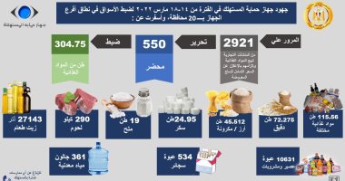 ضبط 550 مخالفة تلاعب فى أسعار السلع واحتكار المنتجات.. إنفوجراف 