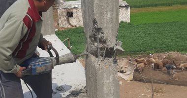 حملات مكبرة لإزالة التعديات على الأراضى الزراعية فى كفر الزيات والسنطة بالغربية