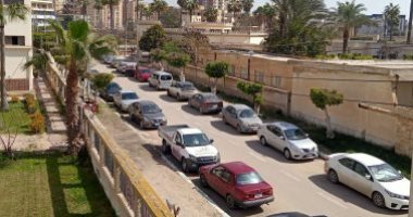 فى آخر أيام الشتاء بكفر الشيخ.. رياح وطقس بارد على أغلب المدن والقرى.. لايف