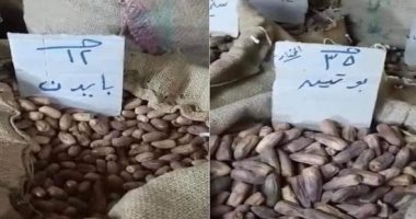 بايدن وبوتين.. من الساحة السياسية إلى المنافسة فى سوق التمور 