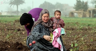 التضحية سر النجاح.. تحية لكل أم مصرية فى عيدها