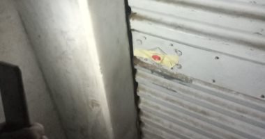 غلق 43 محلا مخالفا وضبط 400 حالة إشغال بأحياء الإسكندرية