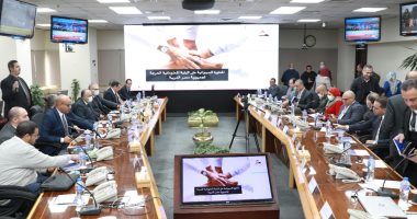 معلومات الوزراء: الدولة المصرية تولى اهتمامًا بالغًا بمجال الأمن السيبرانى