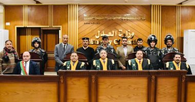 إحالة كهربائى قتل شقيقه بالقطار بسبب خلافات مالية للمفتى
