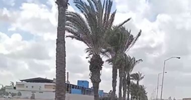 طقس المنوفية الآن.. أمطار خفيفة ورياح شديدة وبرودة فى الجو.. لايف