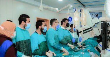 اليوم العلمى الثانى للسكتة الدماغية وجلطات ونزيف المخ بجامعة المنيا